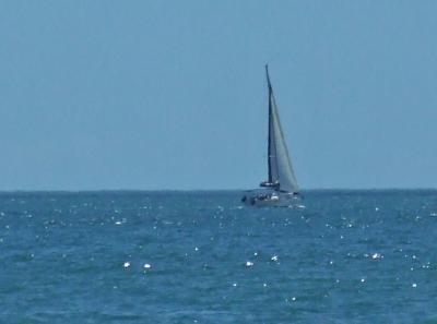 Прикрепленное изображение: 021.jpg